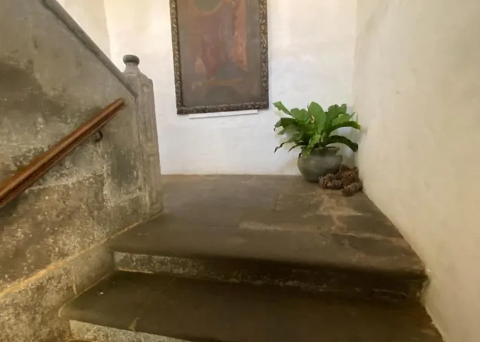 Casa Montesdeoca - Jacaranda Dom wakacyjny Las Palmas de Gran Canaria